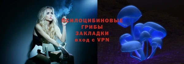 мескалин Надым