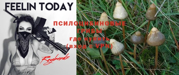 героин Горняк
