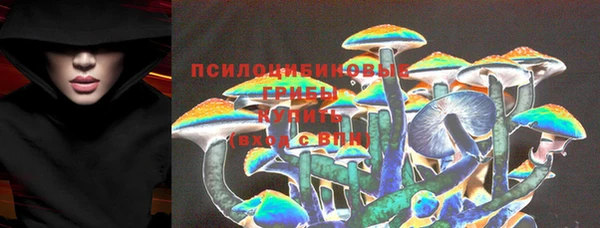 дмт Михайлов