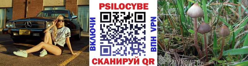 Псилоцибиновые грибы Psilocybine cubensis  mega ONION  Югорск 